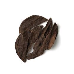 جار نوادر الشيخ