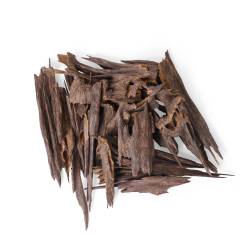 زورا نوادر الشيخ