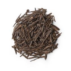 بيبي سيوفي الشيخ