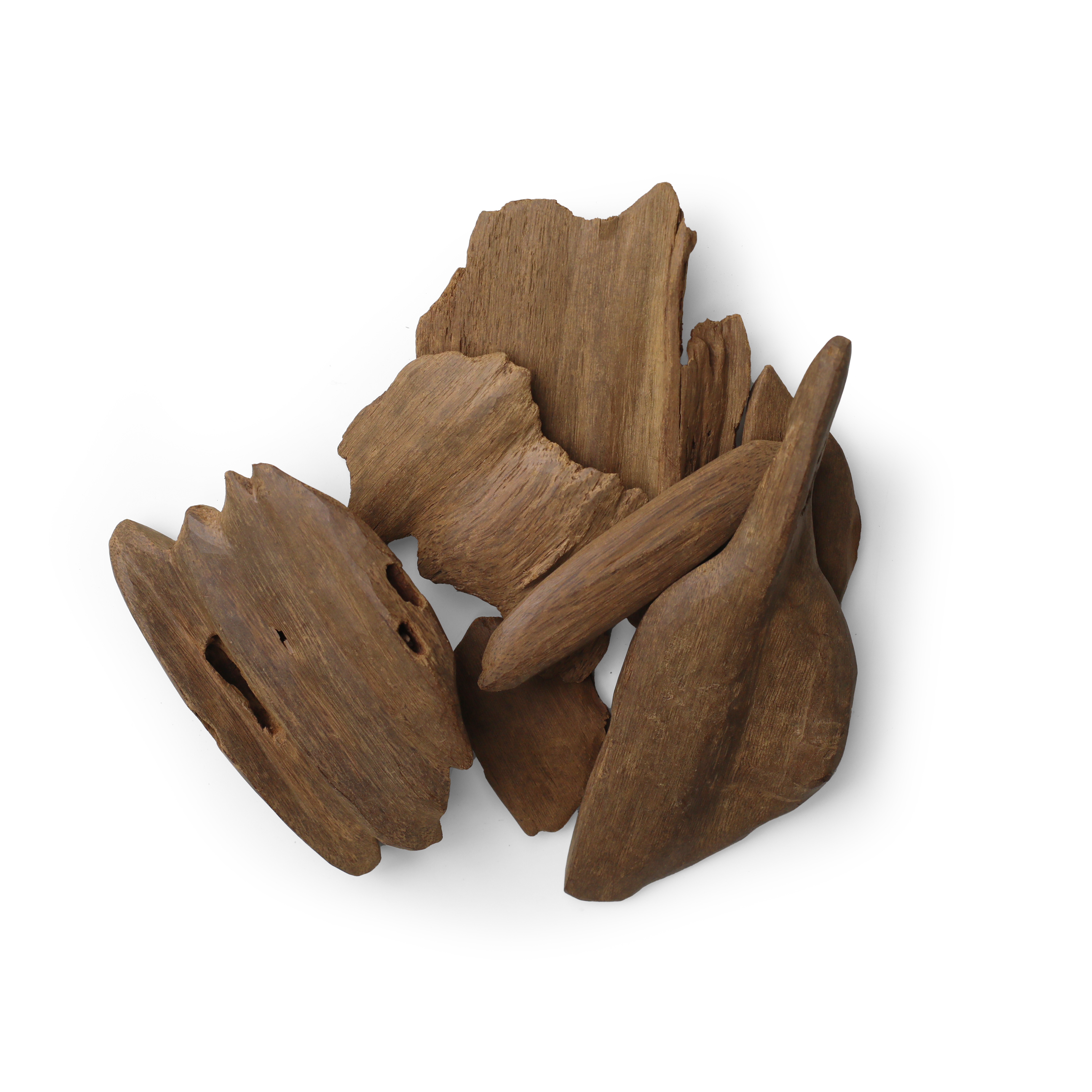 موروكي الشيخ